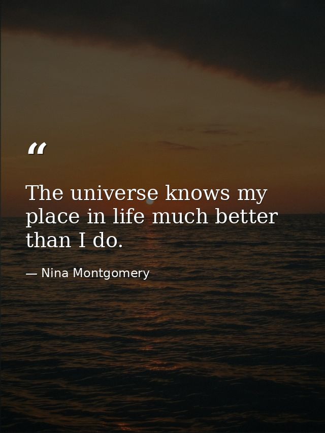 The universe knows my place in life much better than I do. — Nina Montgomery