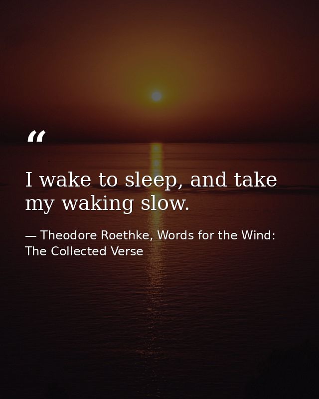 I wake to sleep, and take my waking slow. — Theodore Roethke, Words for the Wind: The Collected Verse