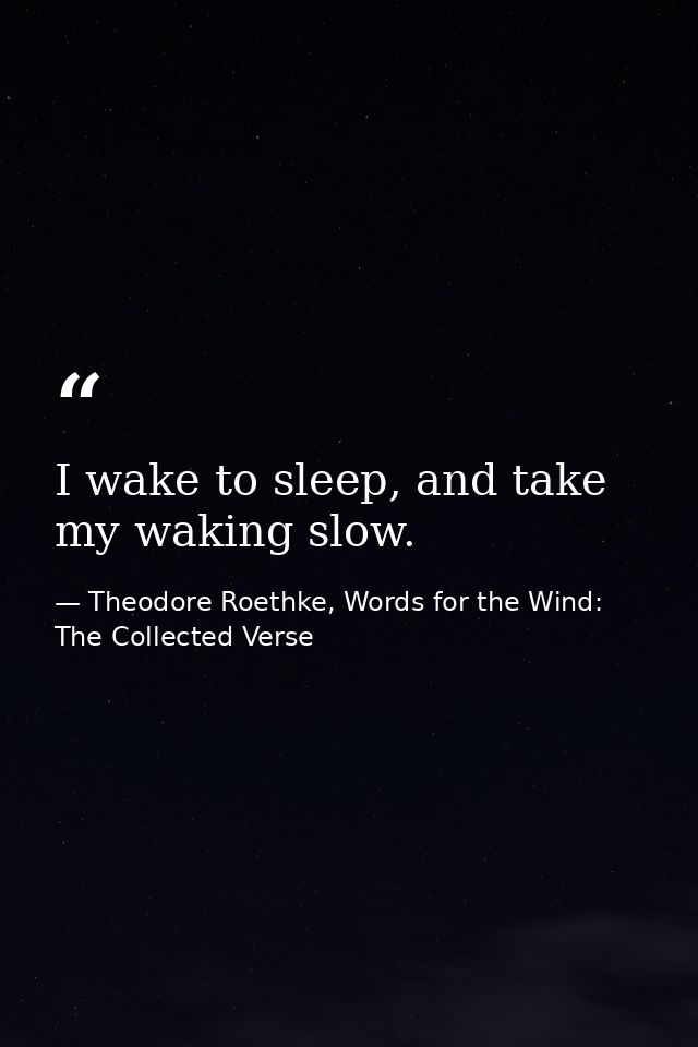 I wake to sleep, and take my waking slow. — Theodore Roethke, Words for the Wind: The Collected Verse
