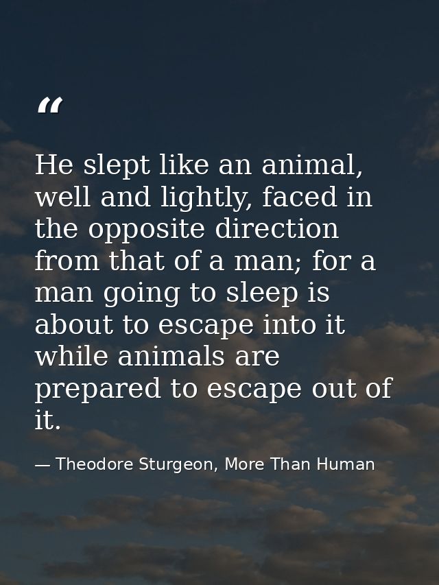He slept like an animal, well and lightly, faced in the opposite direction from that of a man; for a man going to sleep  — Theodore Sturgeon, More Than Human