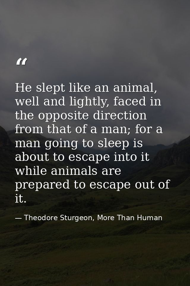 He slept like an animal, well and lightly, faced in the opposite direction from that of a man; for a man going to sleep  — Theodore Sturgeon, More Than Human
