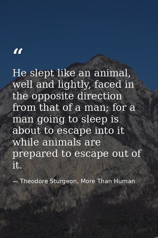 He slept like an animal, well and lightly, faced in the opposite direction from that of a man; for a man going to sleep  — Theodore Sturgeon, More Than Human