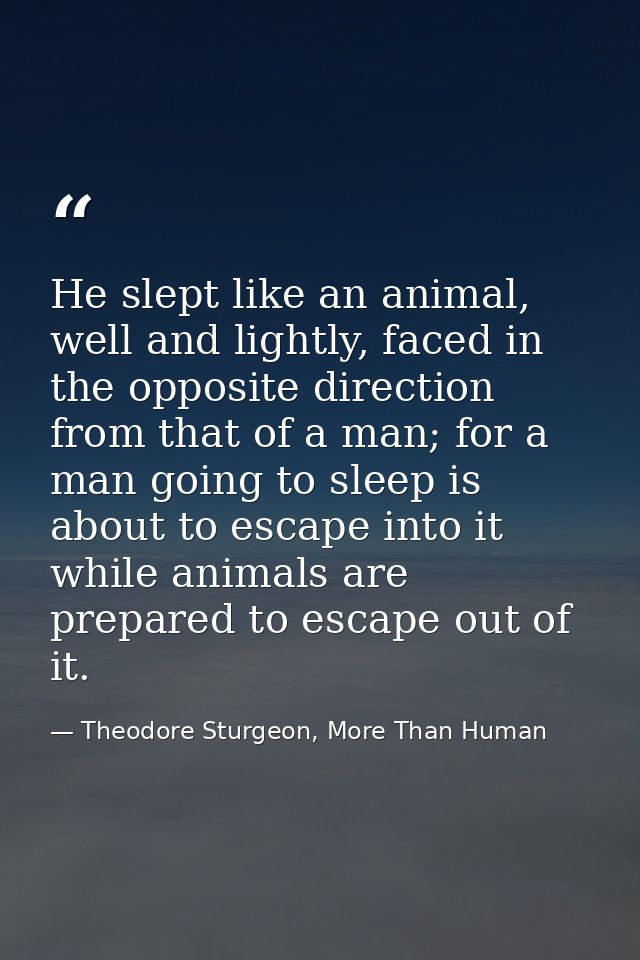 He slept like an animal, well and lightly, faced in the opposite direction from that of a man; for a man going to sleep  — Theodore Sturgeon, More Than Human