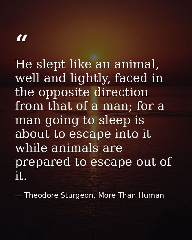 He slept like an animal, well and lightly, faced in the opposite direction from that of a man; for a man going to sleep  — Theodore Sturgeon, More Than Human