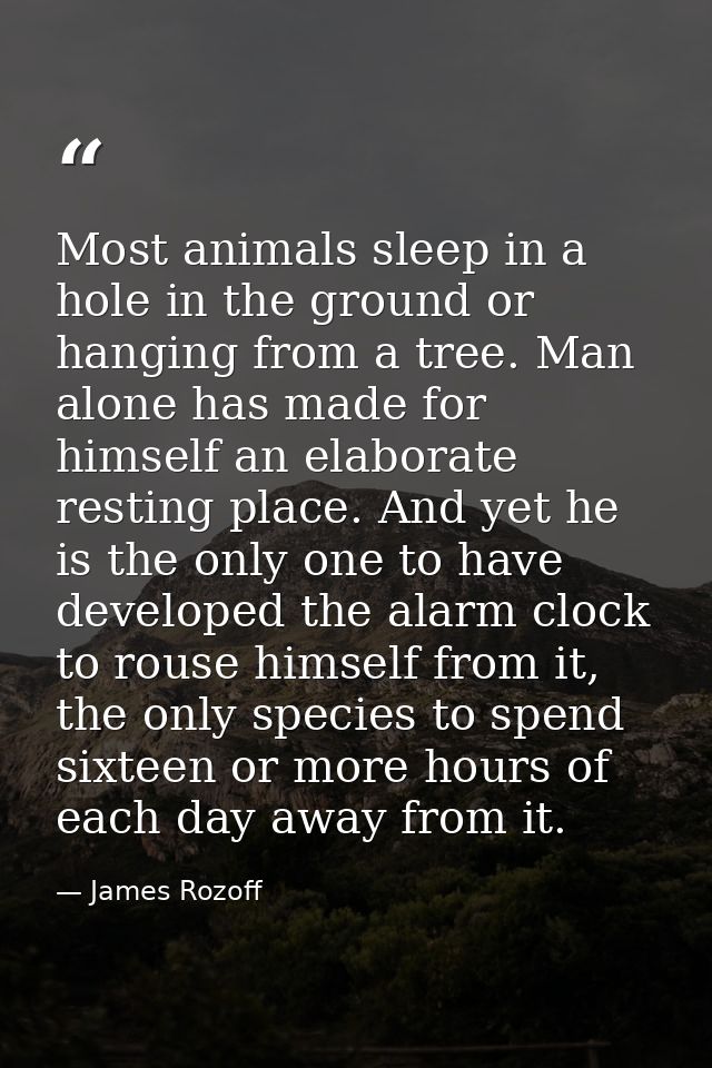 Most animals sleep in a hole in the ground or hanging from a tree. Man alone has made for himself an elaborate resting p — James Rozoff