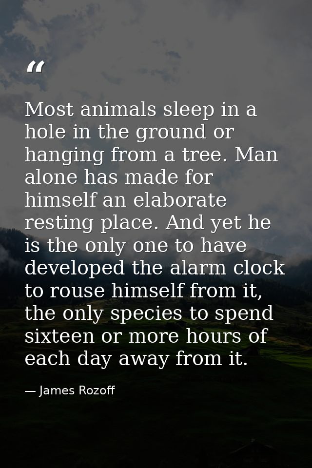 Most animals sleep in a hole in the ground or hanging from a tree. Man alone has made for himself an elaborate resting p — James Rozoff