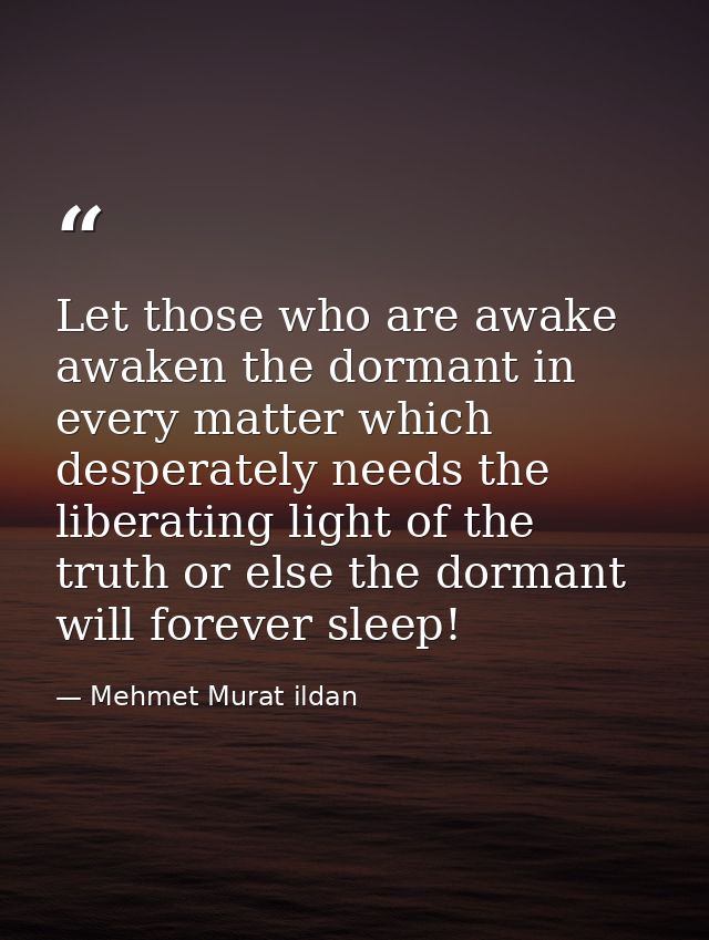 Let those who are awake awaken the dormant in every matter which desperately needs the liberating light of the truth or  — Mehmet Murat ildan