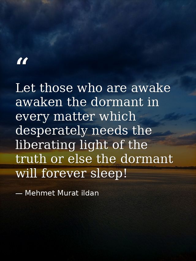 Let those who are awake awaken the dormant in every matter which desperately needs the liberating light of the truth or  — Mehmet Murat ildan