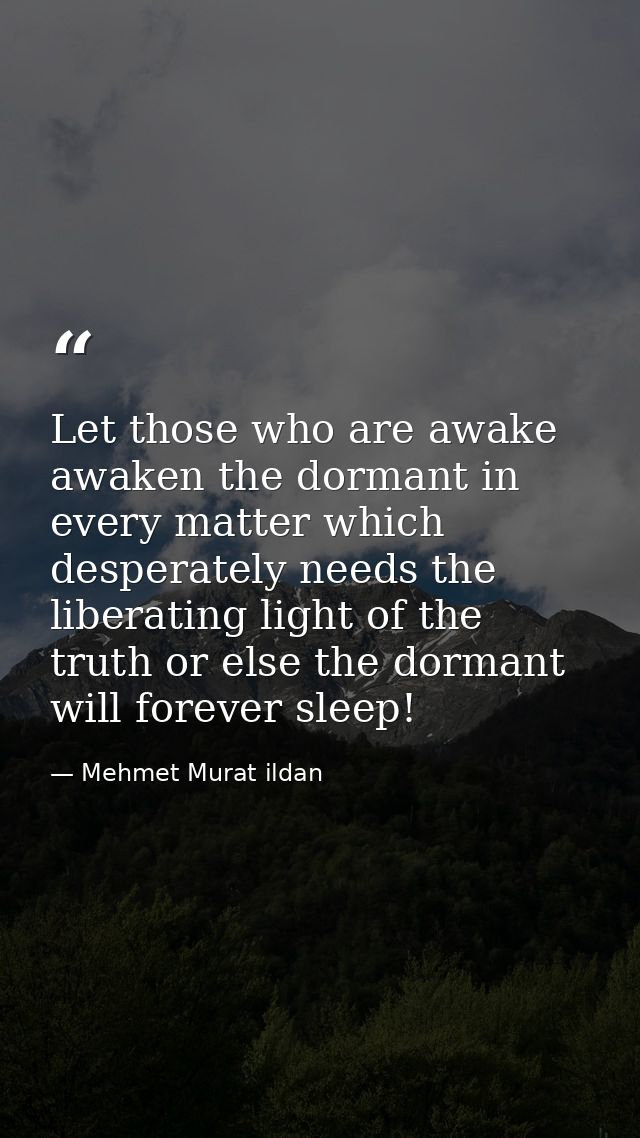 Let those who are awake awaken the dormant in every matter which desperately needs the liberating light of the truth or  — Mehmet Murat ildan