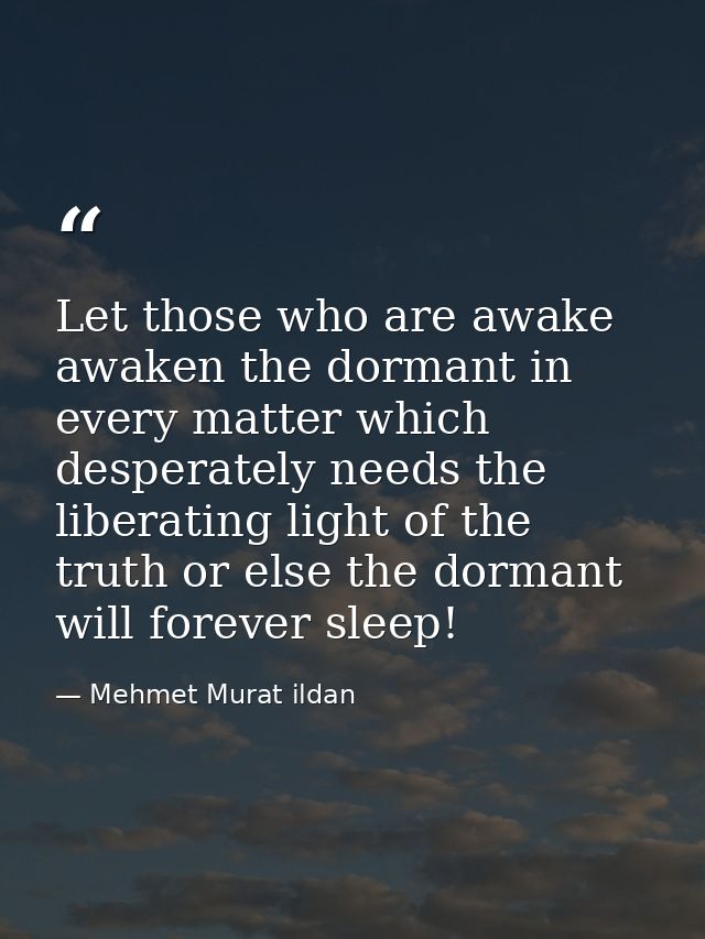Let those who are awake awaken the dormant in every matter which desperately needs the liberating light of the truth or  — Mehmet Murat ildan