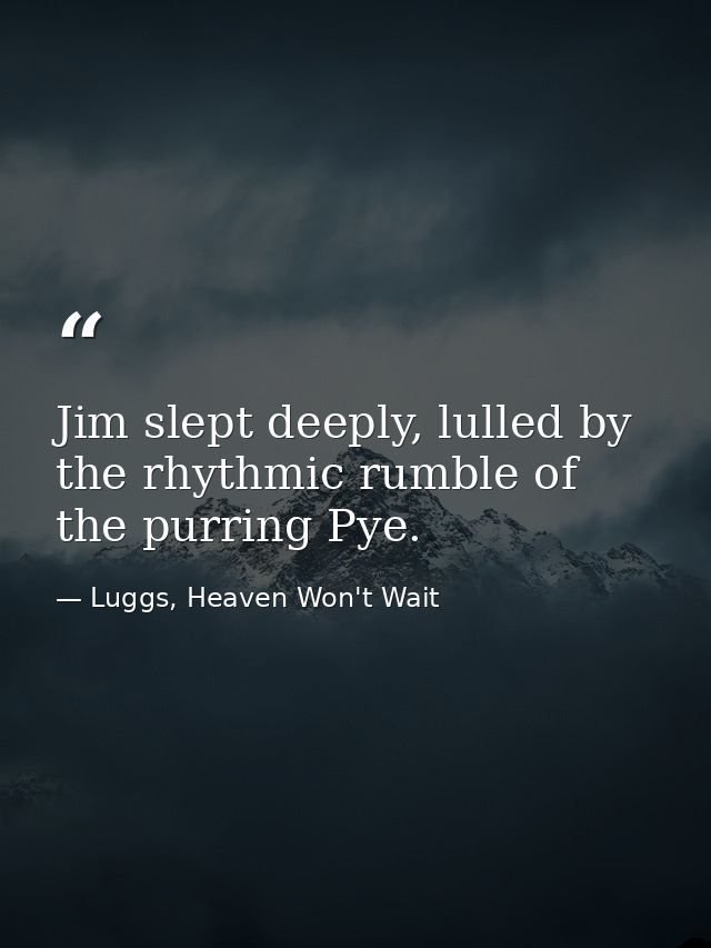 Jim slept deeply, lulled by the rhythmic rumble of the purring Pye. — Luggs, Heaven Won't Wait