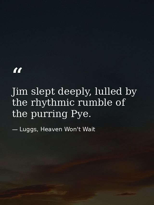 Jim slept deeply, lulled by the rhythmic rumble of the purring Pye. — Luggs, Heaven Won't Wait