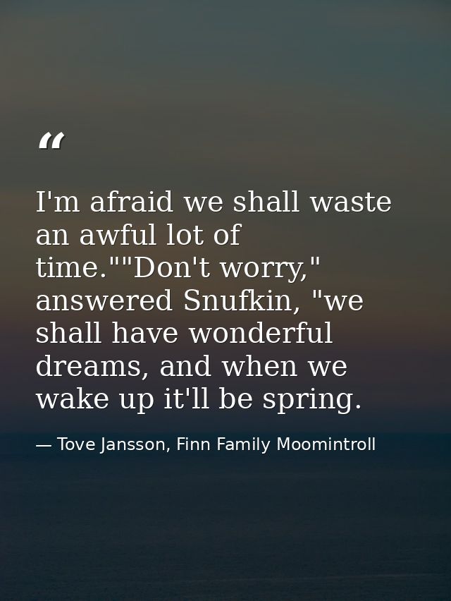 I'm afraid we shall waste an awful lot of time.""Don't worry," answered Snufkin, "we shall have wonderful dreams, and wh — Tove Jansson, Finn Family Moomintroll