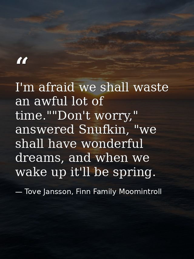I'm afraid we shall waste an awful lot of time.""Don't worry," answered Snufkin, "we shall have wonderful dreams, and wh — Tove Jansson, Finn Family Moomintroll