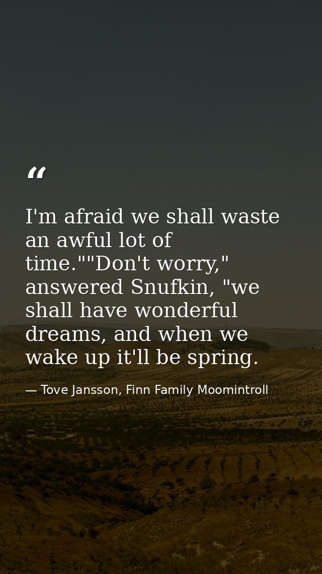 I'm afraid we shall waste an awful lot of time.""Don't worry," answered Snufkin, "we shall have wonderful dreams, and wh — Tove Jansson, Finn Family Moomintroll