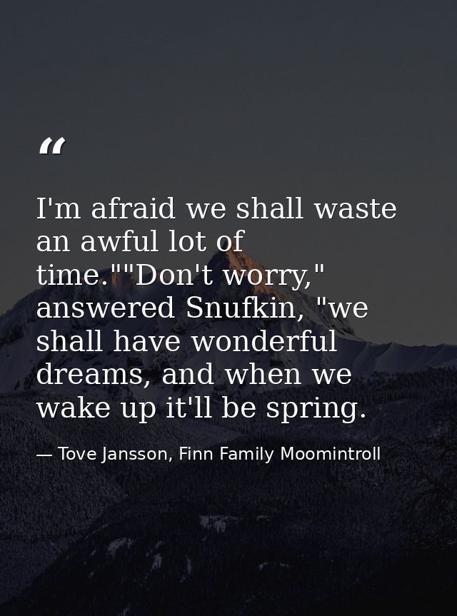 I'm afraid we shall waste an awful lot of time.""Don't worry," answered Snufkin, "we shall have wonderful dreams, and wh — Tove Jansson, Finn Family Moomintroll
