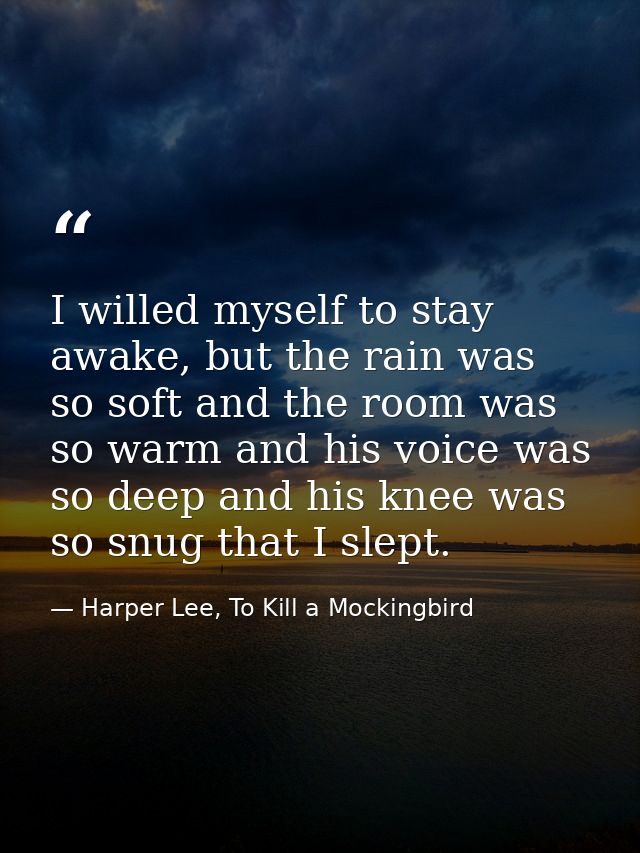 I willed myself to stay awake, but the rain was so soft and the room was so warm and his voice was so deep and his knee  — Harper Lee, To Kill a Mockingbird
