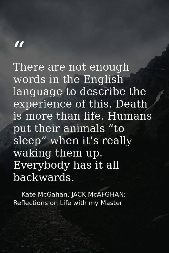 There are not enough words in the English language to describe the experience of this. Death is more than life. Humans p — Kate McGahan, JACK McAFGHAN: Reflections on Life with my Master