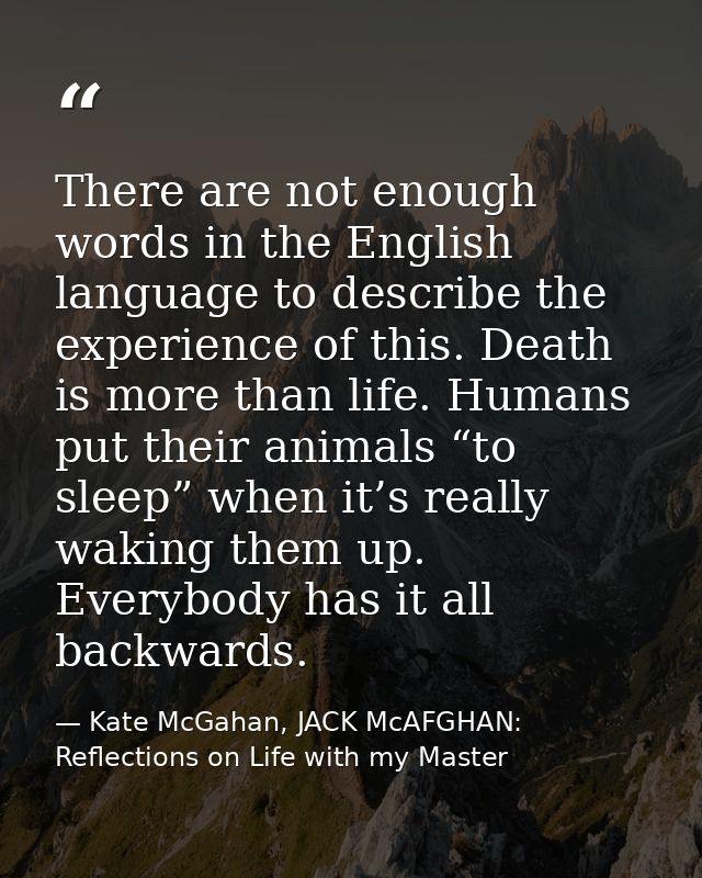 There are not enough words in the English language to describe the experience of this. Death is more than life. Humans p — Kate McGahan, JACK McAFGHAN: Reflections on Life with my Master