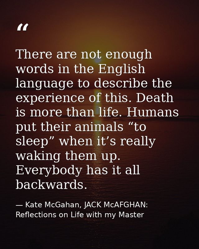 There are not enough words in the English language to describe the experience of this. Death is more than life. Humans p — Kate McGahan, JACK McAFGHAN: Reflections on Life with my Master
