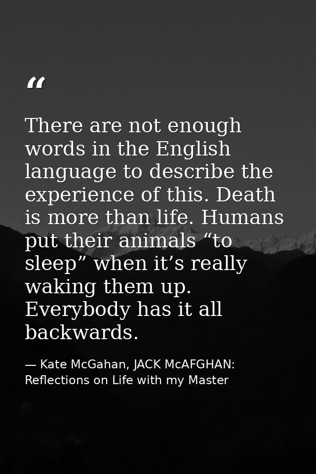 There are not enough words in the English language to describe the experience of this. Death is more than life. Humans p — Kate McGahan, JACK McAFGHAN: Reflections on Life with my Master