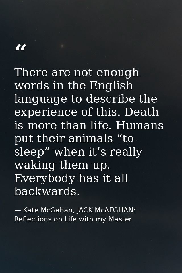 There are not enough words in the English language to describe the experience of this. Death is more than life. Humans p — Kate McGahan, JACK McAFGHAN: Reflections on Life with my Master
