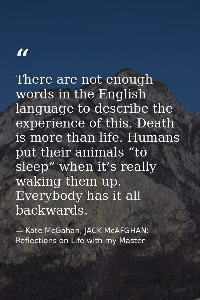 There are not enough words in the English language to describe the experience of this. Death is more than life. Humans p — Kate McGahan, JACK McAFGHAN: Reflections on Life with my Master