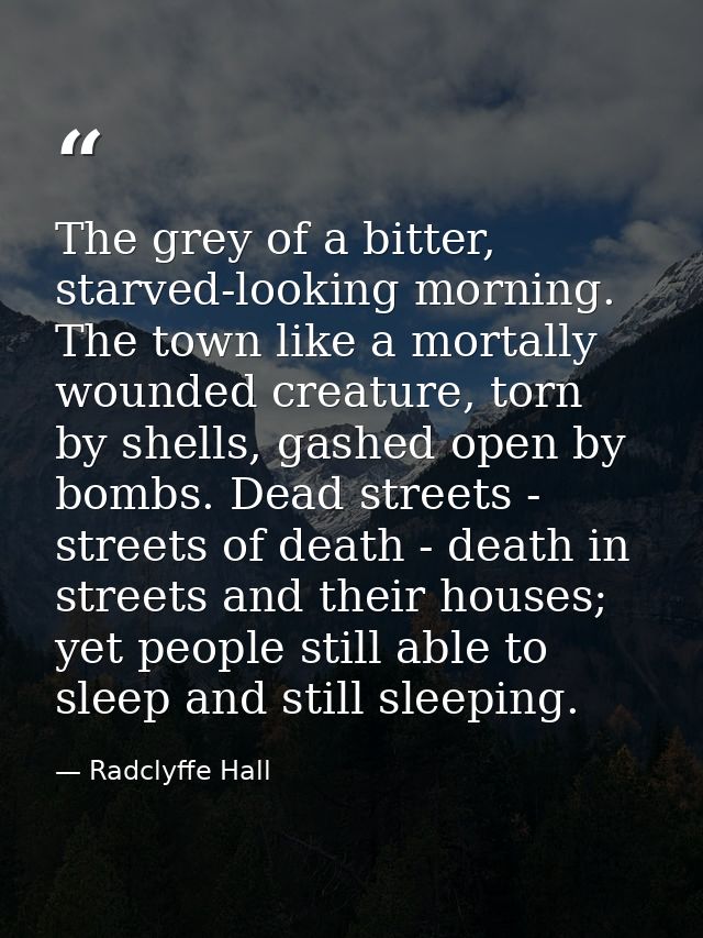 The grey of a bitter, starved-looking morning. The town like a mortally wounded creature, torn by shells, gashed open by — Radclyffe Hall