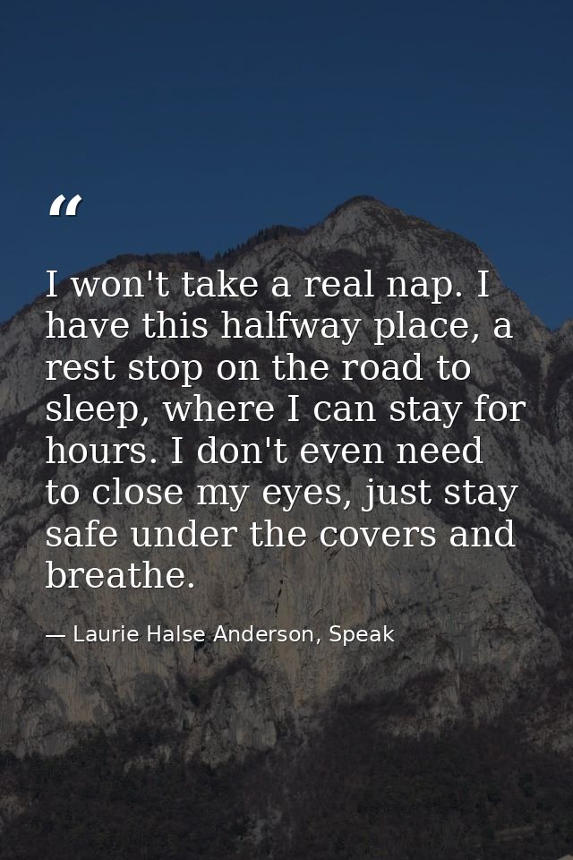I won't take a real nap. I have this halfway place, a rest stop on the road to sleep, where I can stay for hours. I don' — Laurie Halse Anderson, Speak