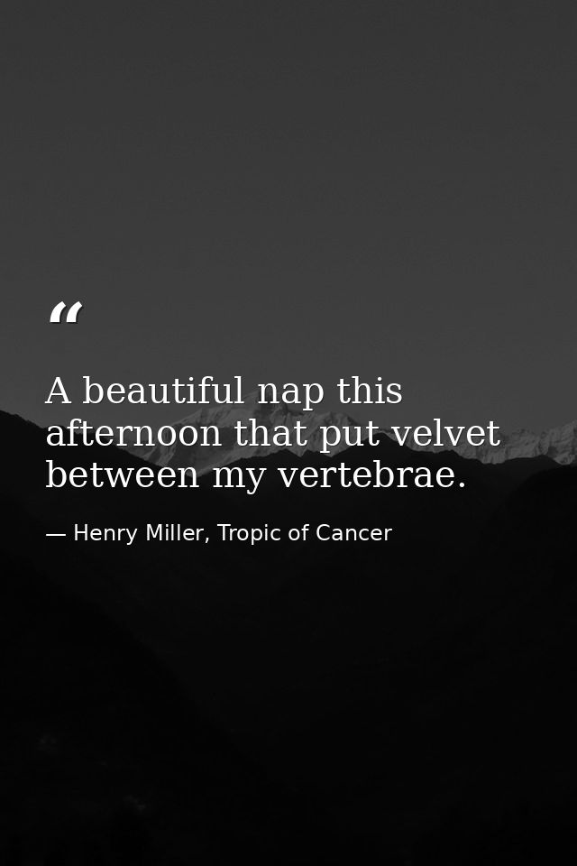 A beautiful nap this afternoon that put velvet between my vertebrae. — Henry Miller, Tropic of Cancer