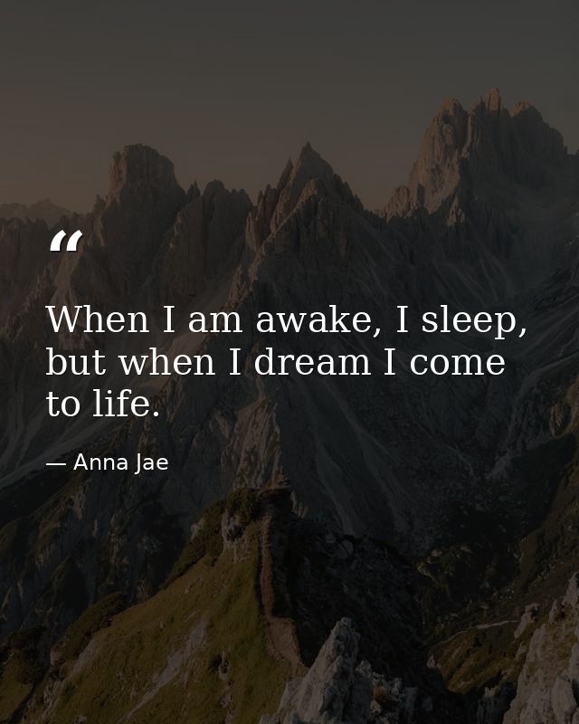 When I am awake, I sleep, but when I dream I come to life. — Anna Jae