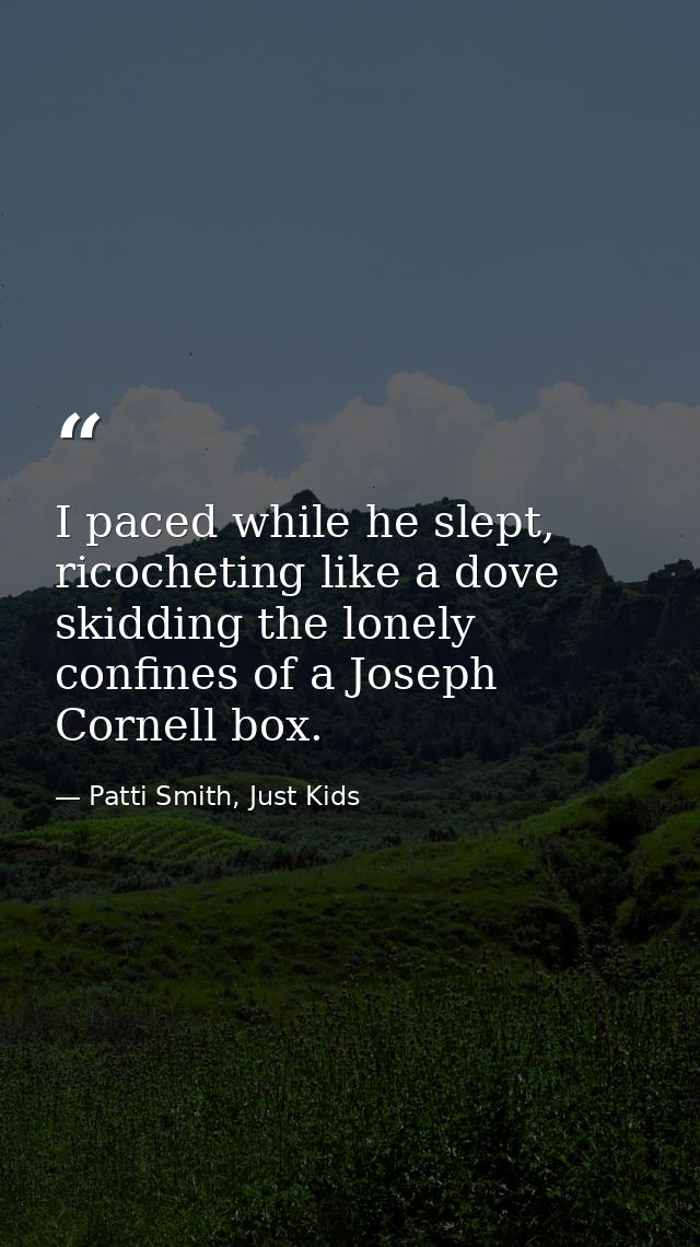 I paced while he slept, ricocheting like a dove skidding the lonely confines of a Joseph Cornell box. — Patti Smith, Just Kids