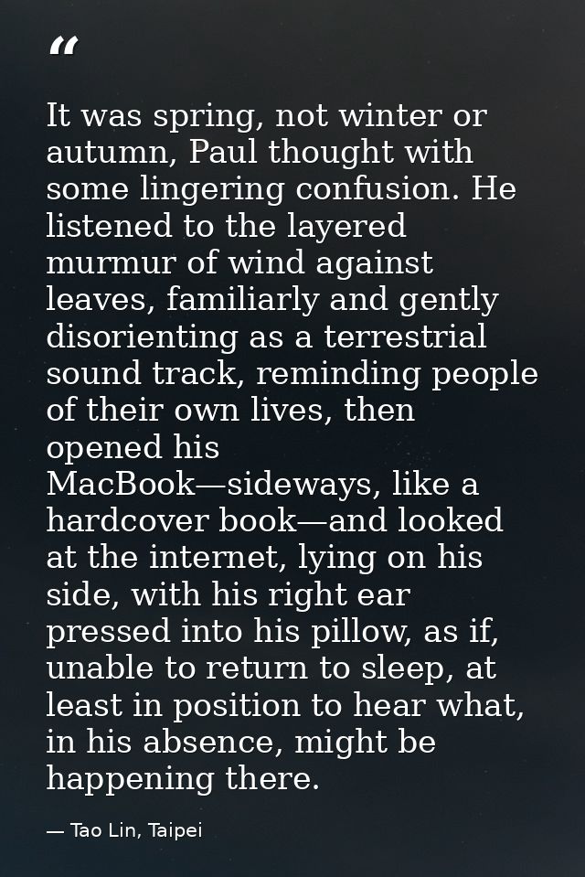 It was spring, not winter or autumn, Paul thought with some lingering confusion. He listened to the layered murmur of wi — Tao Lin, Taipei