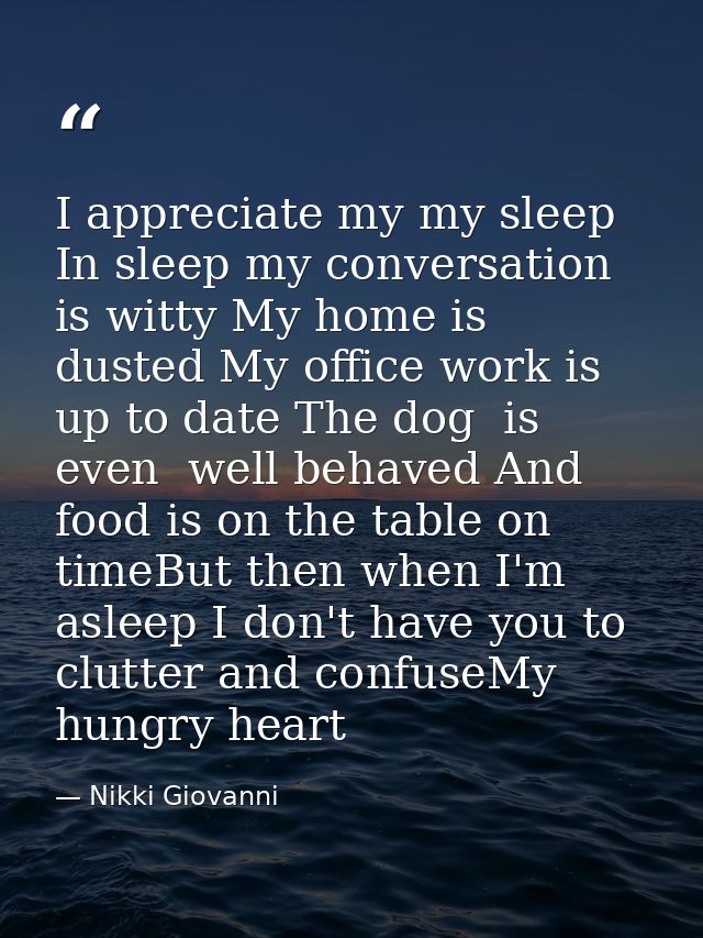 I appreciate my my sleep In sleep my conversation  is witty My home is dusted My office work is up to date The dog  is e — Nikki Giovanni