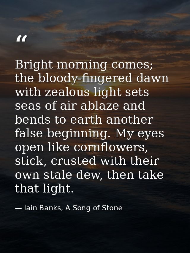 Bright morning comes; the bloody-fingered dawn with zealous light sets seas of air ablaze and bends to earth another fal — Iain Banks, A Song of Stone