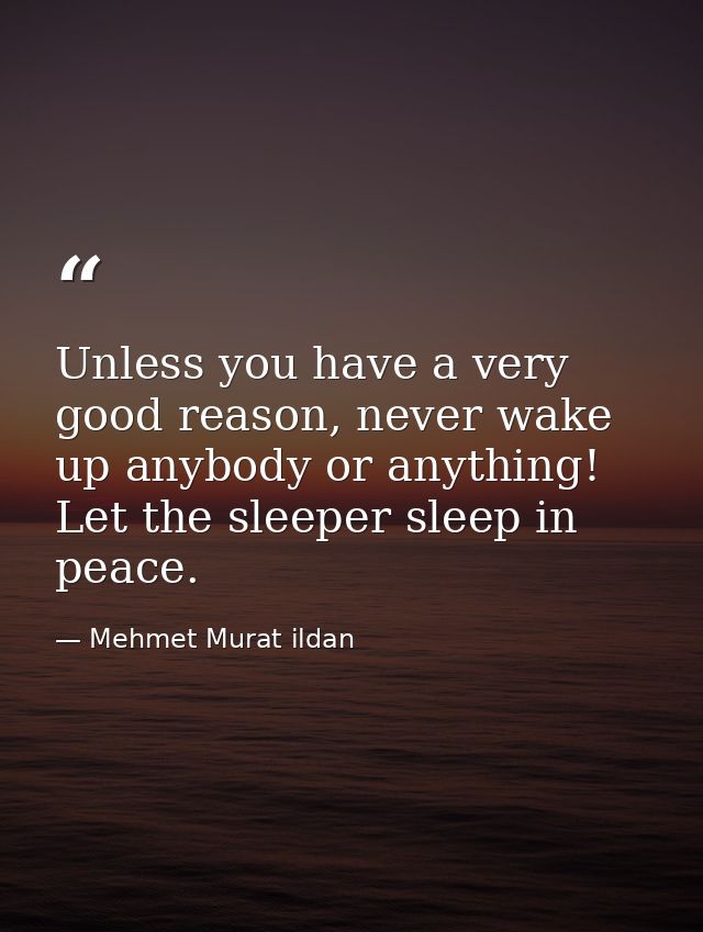 Unless you have a very good reason, never wake up anybody or anything! Let the sleeper sleep in peace. — Mehmet Murat ildan