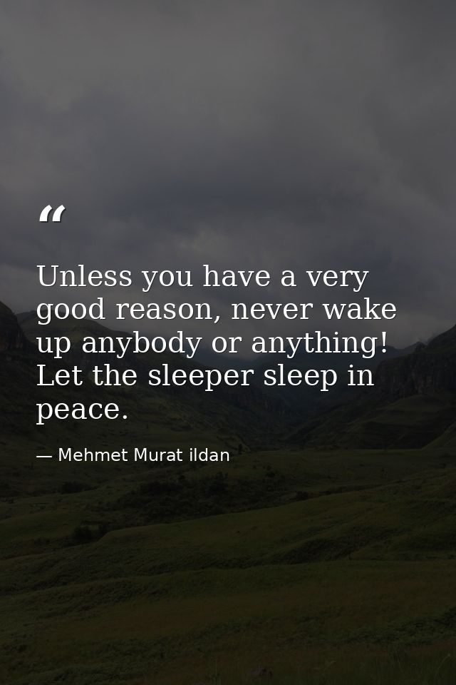 Unless you have a very good reason, never wake up anybody or anything! Let the sleeper sleep in peace. — Mehmet Murat ildan