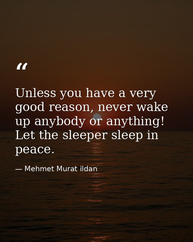 Unless you have a very good reason, never wake up anybody or anything! Let the sleeper sleep in peace. — Mehmet Murat ildan