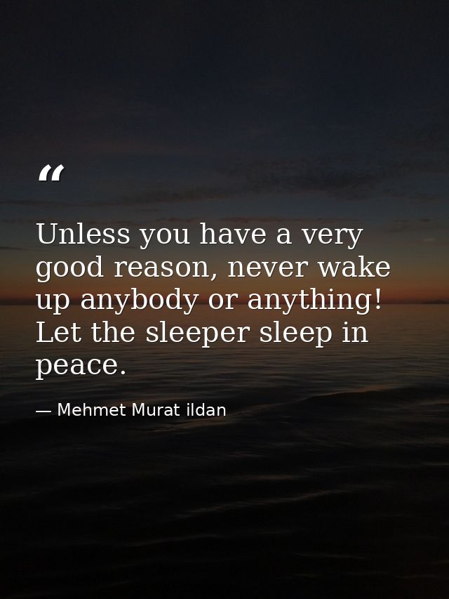 Unless you have a very good reason, never wake up anybody or anything! Let the sleeper sleep in peace. — Mehmet Murat ildan