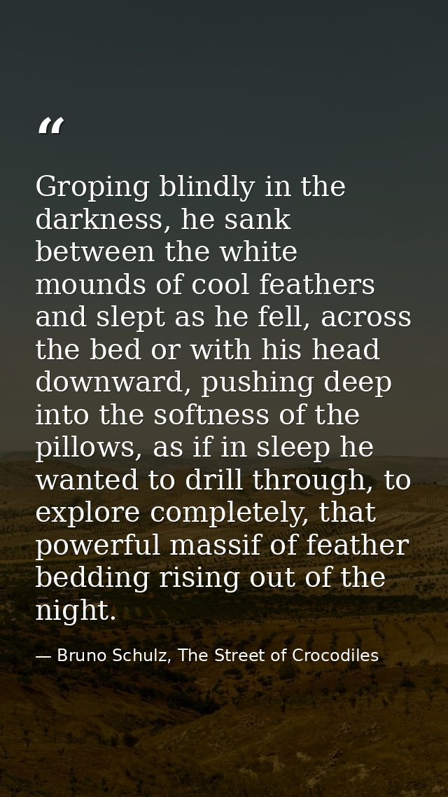 Groping blindly in the darkness, he sank between the white mounds of cool feathers and slept as he fell, across the bed  — Bruno Schulz, The Street of Crocodiles