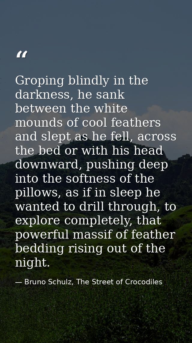 Groping blindly in the darkness, he sank between the white mounds of cool feathers and slept as he fell, across the bed  — Bruno Schulz, The Street of Crocodiles