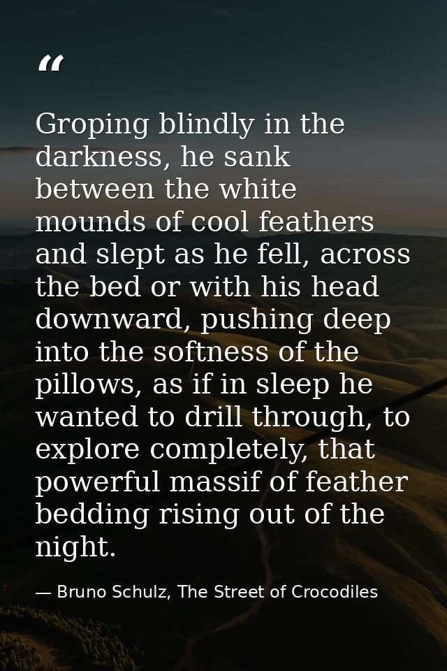 Groping blindly in the darkness, he sank between the white mounds of cool feathers and slept as he fell, across the bed  — Bruno Schulz, The Street of Crocodiles