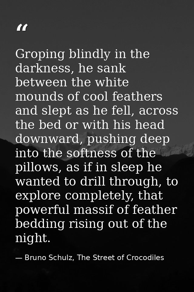 Groping blindly in the darkness, he sank between the white mounds of cool feathers and slept as he fell, across the bed  — Bruno Schulz, The Street of Crocodiles