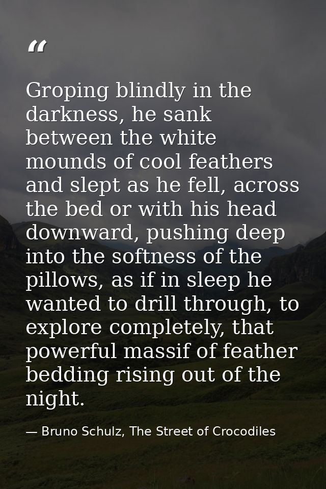 Groping blindly in the darkness, he sank between the white mounds of cool feathers and slept as he fell, across the bed  — Bruno Schulz, The Street of Crocodiles