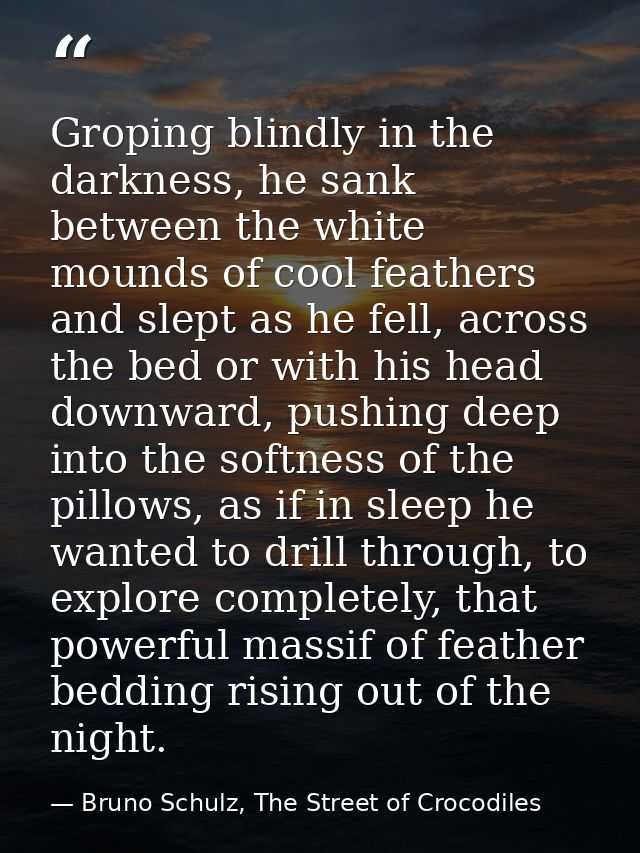 Groping blindly in the darkness, he sank between the white mounds of cool feathers and slept as he fell, across the bed  — Bruno Schulz, The Street of Crocodiles