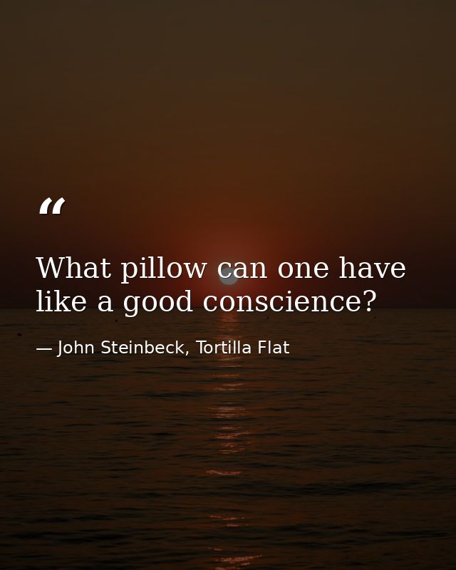 What pillow can one have like a good conscience? — John Steinbeck, Tortilla Flat
