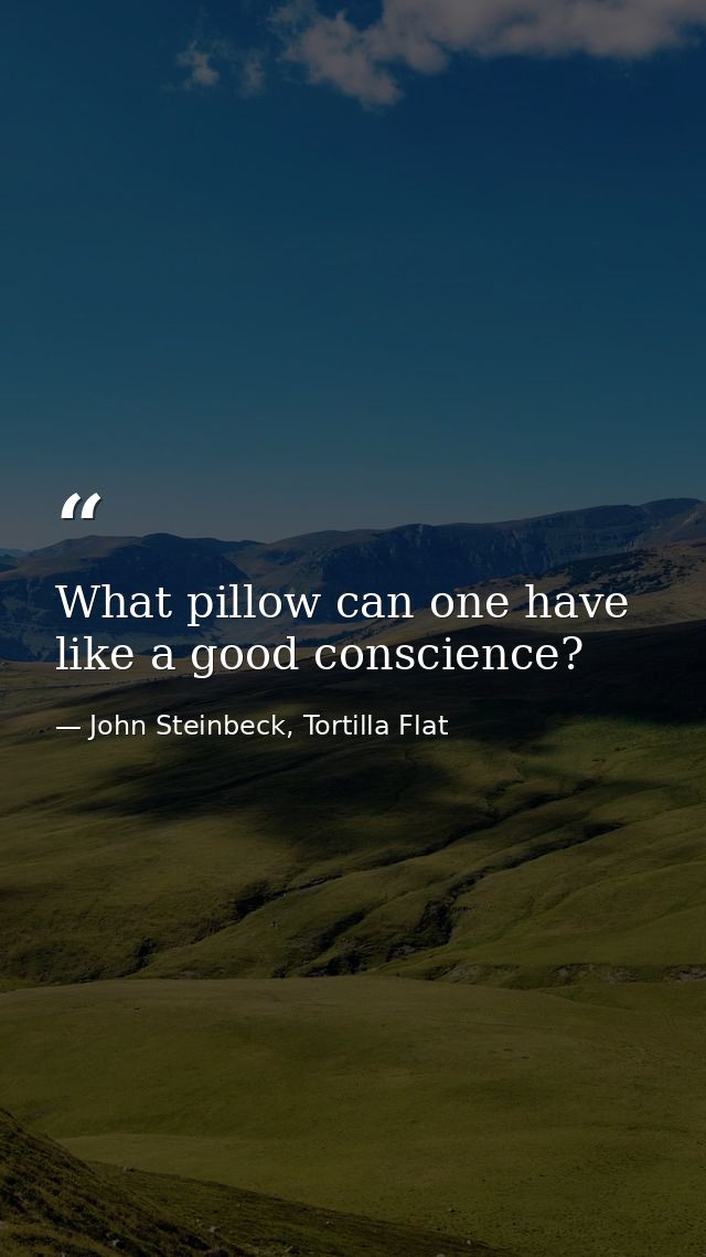 What pillow can one have like a good conscience? — John Steinbeck, Tortilla Flat