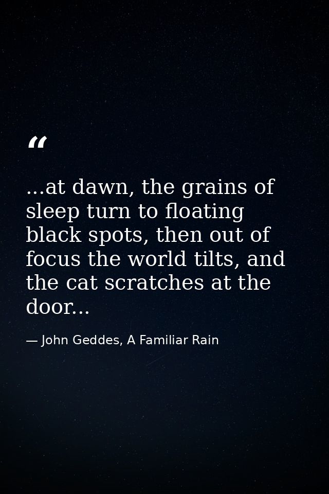 ...at dawn, the grains of sleep turn to floating black spots, then out of focus the world tilts, and the cat scratches a — John Geddes, A Familiar Rain
