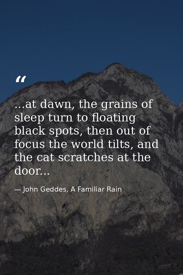...at dawn, the grains of sleep turn to floating black spots, then out of focus the world tilts, and the cat scratches a — John Geddes, A Familiar Rain