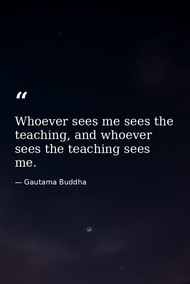 Whoever sees me sees the teaching, and whoever sees the teaching sees me. — Gautama Buddha